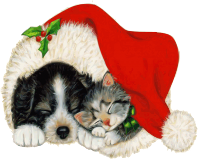 Hund und Katze unter der Weihnachtsmütze, Foto: Pixybay / Jo-B