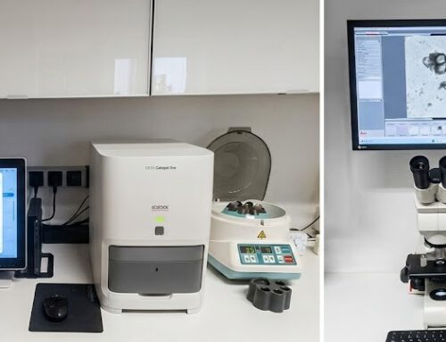 Neu in unserer Kleintierpraxis: Modernes In‑House‑Labor für Ihr Tier