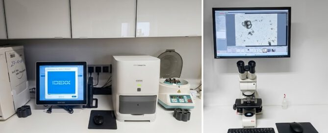 Modernste Technik im In-House-Labor der Tierarztpraxis Dr. Loch in Viersen