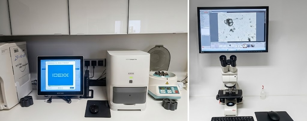 Modernste Technik im In-House-Labor der Tierarztpraxis Dr. Loch in Viersen